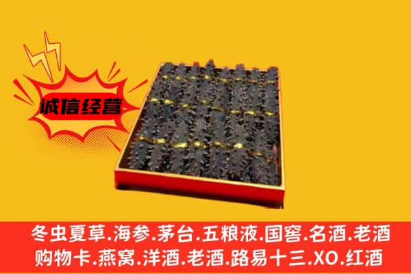 从化区回收海参